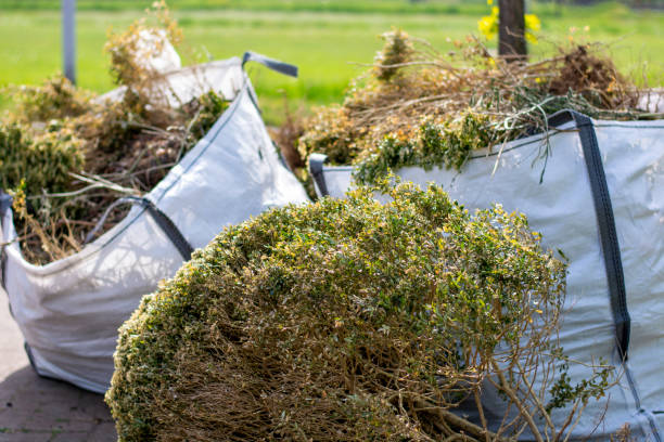 Best Same-Day Junk Removal  in Cedar Bluff, VA